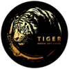 Tiger Martial Arts Sanford